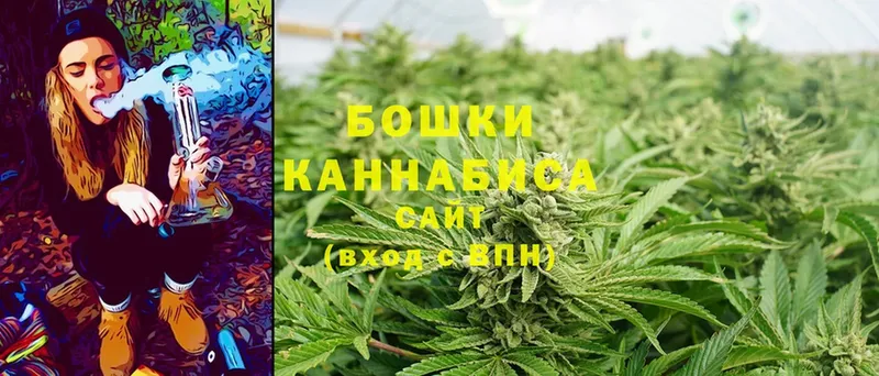 наркотики  Новое Девяткино  Бошки Шишки SATIVA & INDICA 